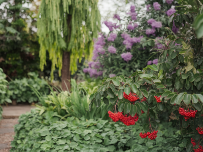 Wie erkenne ich giftpflanzen im garten und welche notfallmaßnahmen retten vögel und kleine säuger
