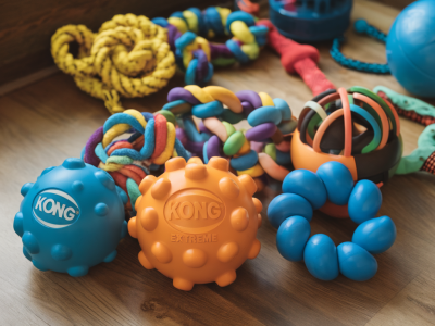 Wie wähle ich das richtige kong-aktivitätsspielzeug für ängstliche hunde: füllung, griff und rotationsplan