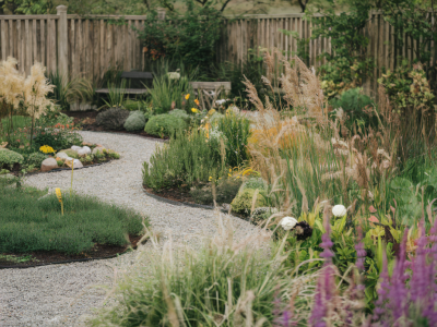 Wie richte ich einen naturnahen garten für wildvögel ein ohne pflegeaufwand