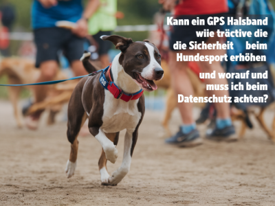 Kann ein gps-halsband wie tractive die sicherheit beim hundesport erhöhen und worauf muss ich beim datenschutz achten